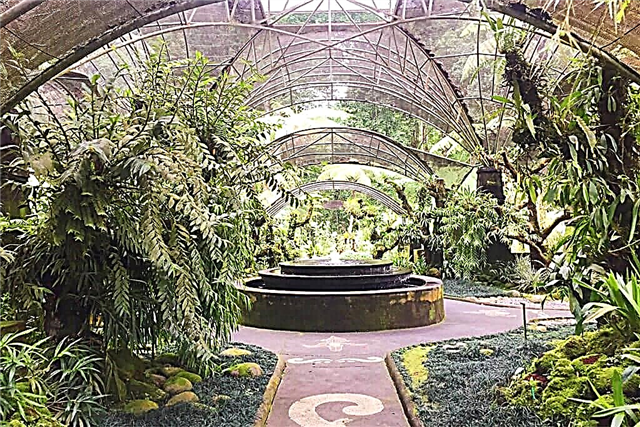 Jardin botanique de Bali