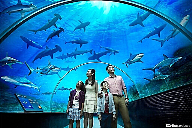 Oceanárium „Podvodní svět Singapuru“