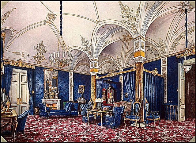 Palacio de invierno de Pedro I en San Petersburgo