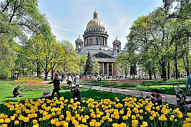 Alexander Garden in St. Petersburg