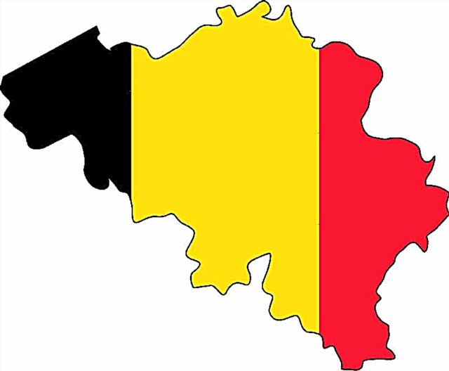 Wiza do Belgii na własną rękę