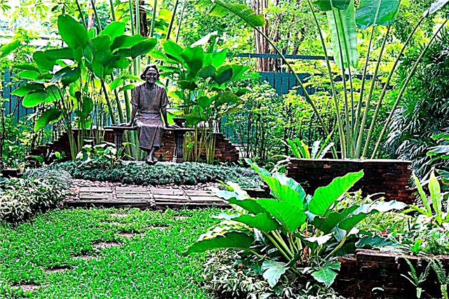 13 أفضل الحدائق في بانكوك