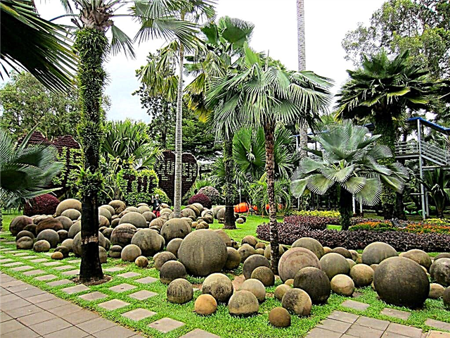 Tropischer Garten Nong Nooch