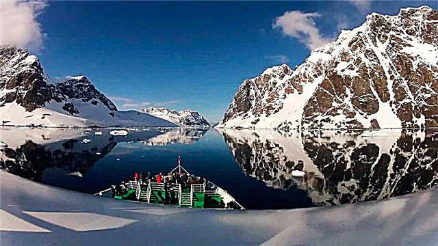 11 أفضل الرحلات البحرية إلى القارة القطبية الجنوبية