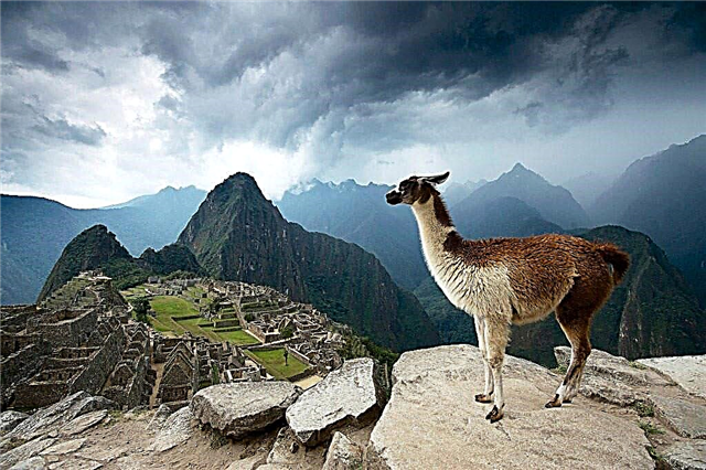 Machu Picchu v Peru
