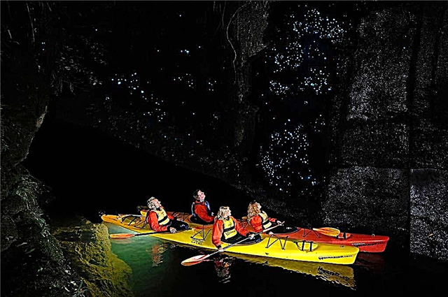 Waitomo Firefly -luola Uudessa-Seelannissa
