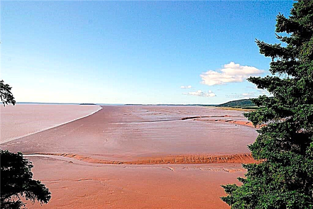 Majestic Bay of Fundy din Canada