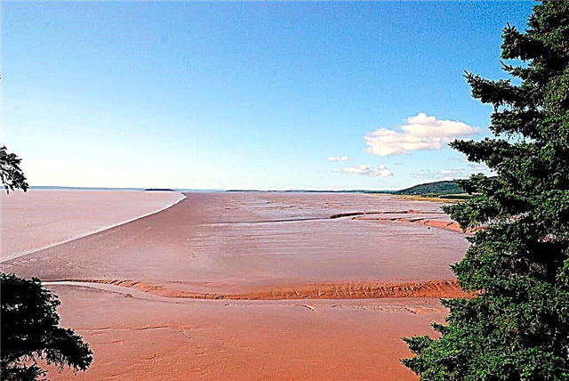 Majestic Bay of Fundy no Canadá