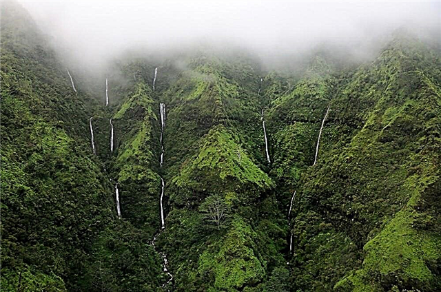 Muro de lágrimas: Honokohau Falls en Hawái