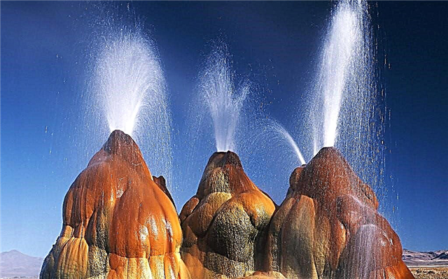 Fly Geyser in the USA