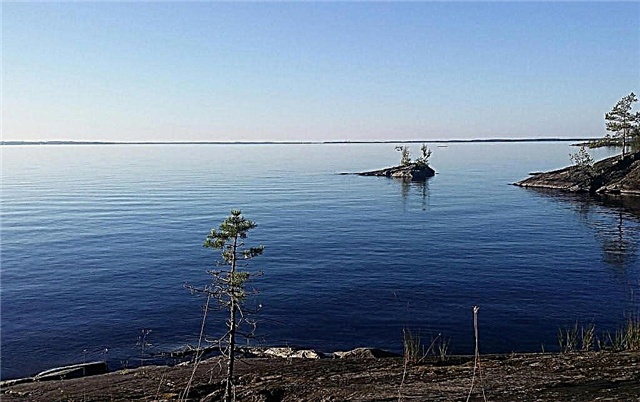 Lake Paasselka in Finland