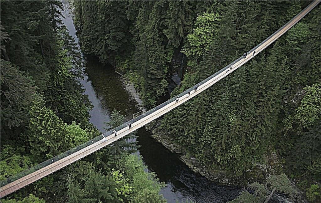 Capilano Bridge in Canada