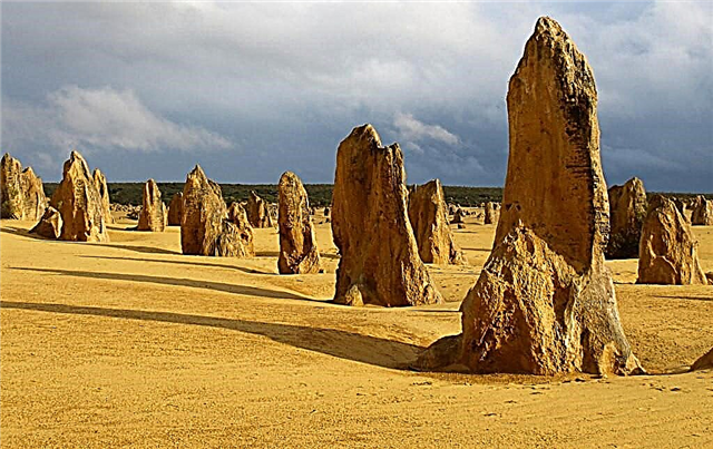 Die Pinnacles-Wüste in Australien