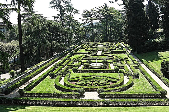 Vatican gardens
