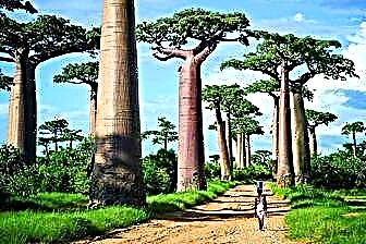 14 attractions incontournables à Madagascar